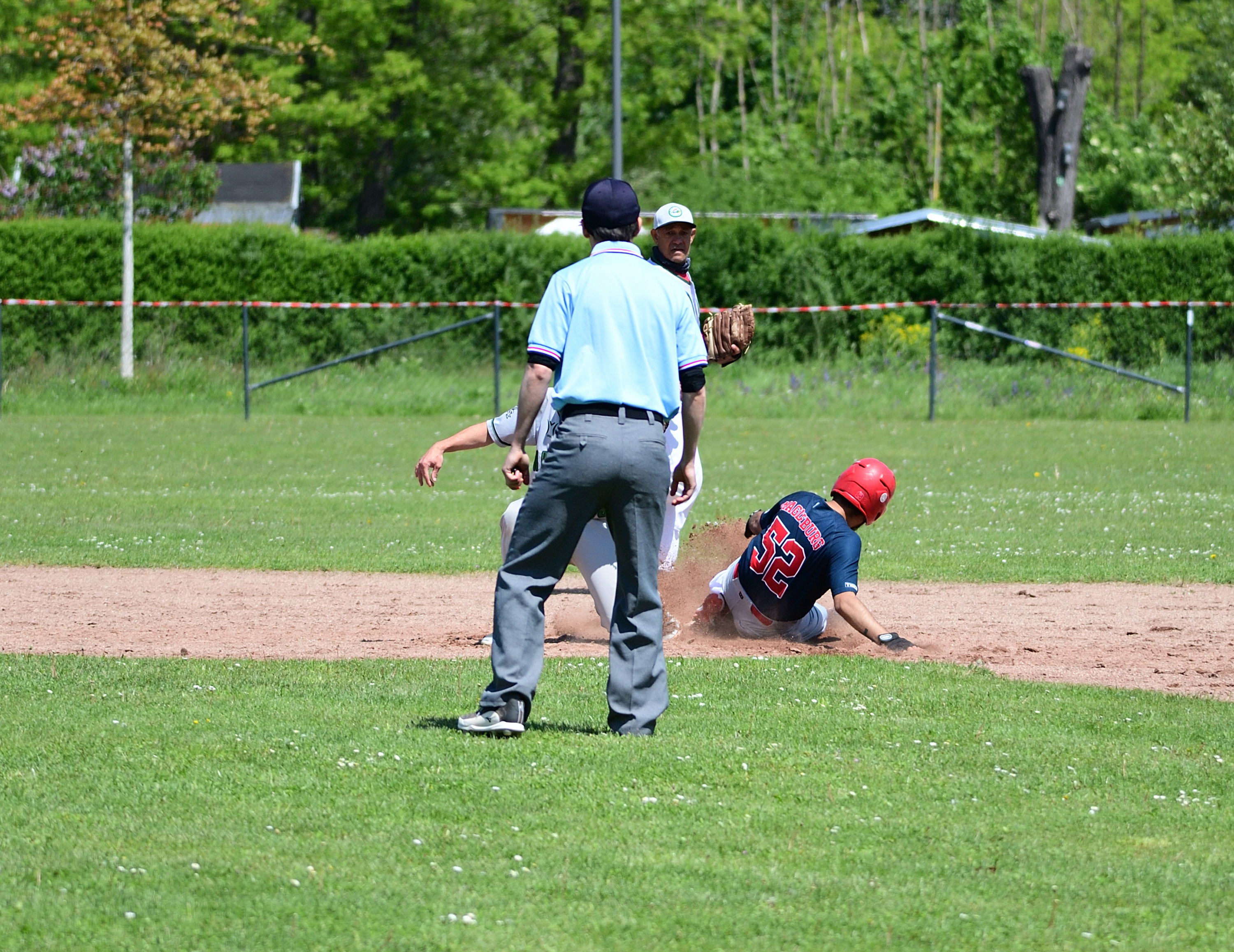 Baseball Magdeburg